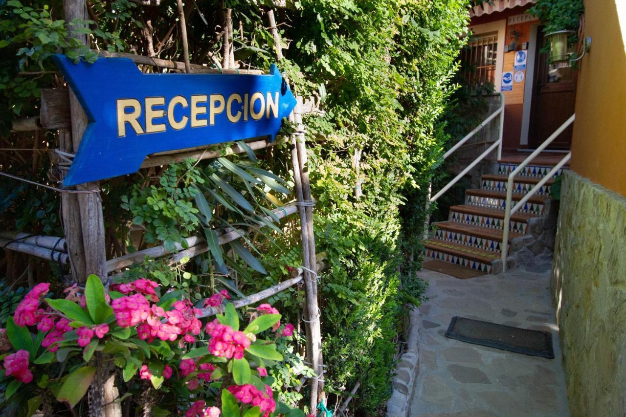 Apartamentos Turisticos Trajano Bolonia Buitenkant foto