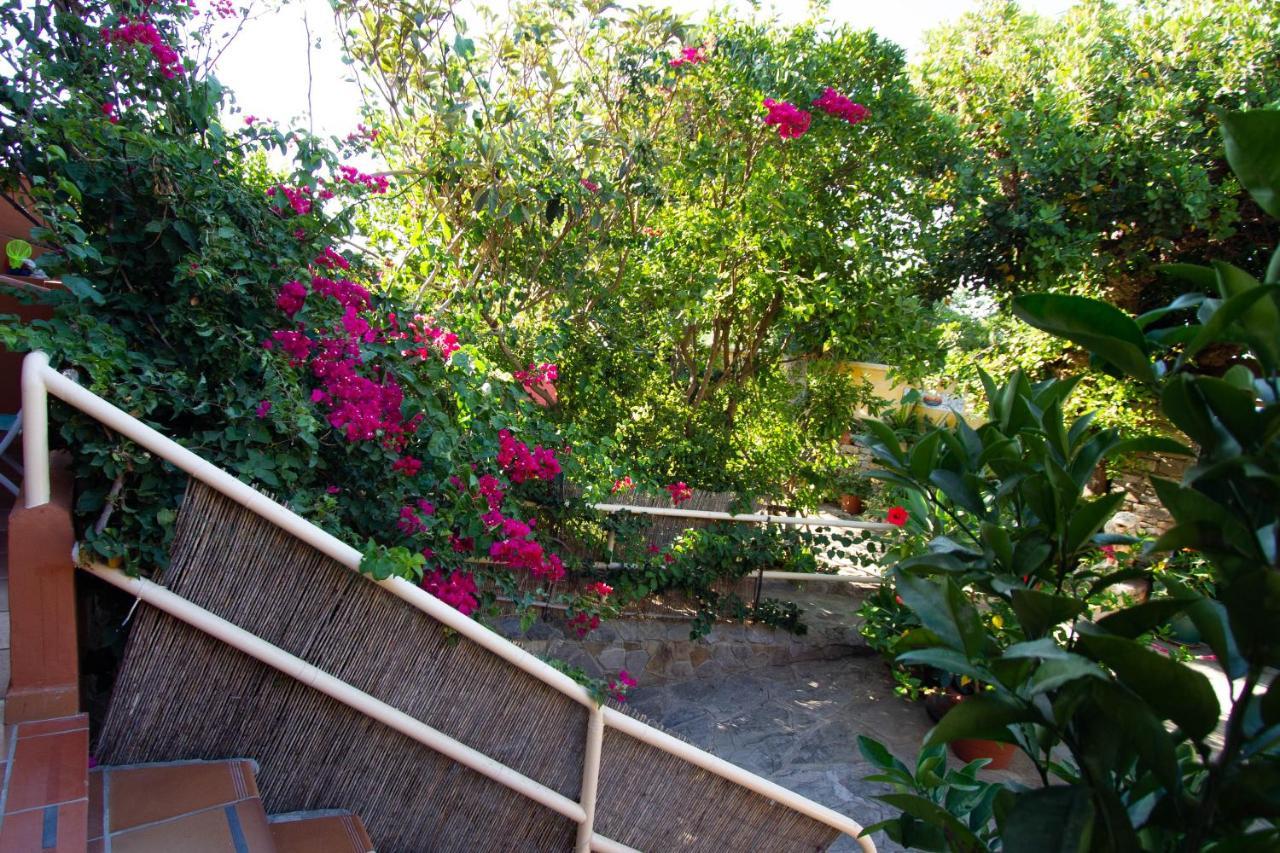 Apartamentos Turisticos Trajano Bolonia Buitenkant foto